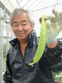 �����q��