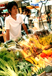 �V�[�}���V�F