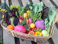 �_����؋l����BOX